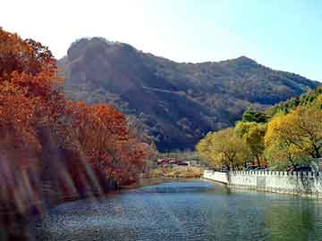 西城区二手机械设备批发，市场机遇与竞争策略